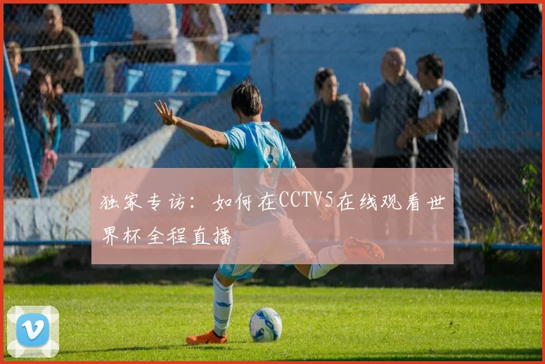 独家专访:如何在CCTV5在线观看世界杯全程直播