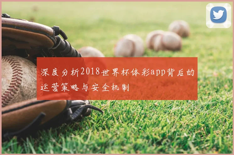 深度分析2018世界杯体彩app背后的运营策略与安全机制