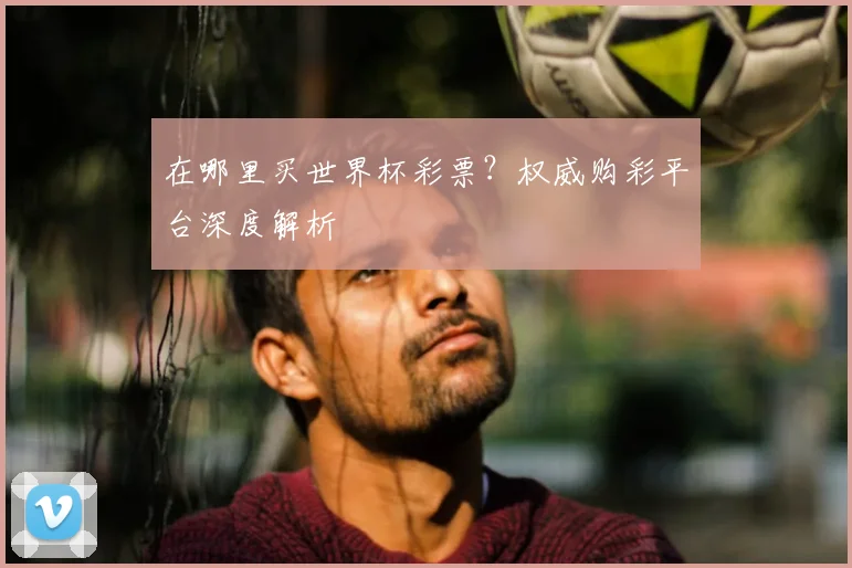 在哪里买世界杯彩票？权威购彩平台深度解析