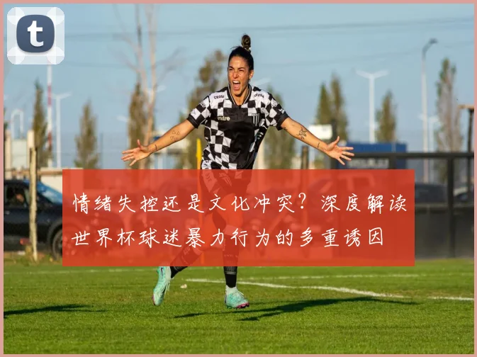 情绪失控还是文化冲突？深度解读世界杯球迷暴力行为的多重诱因