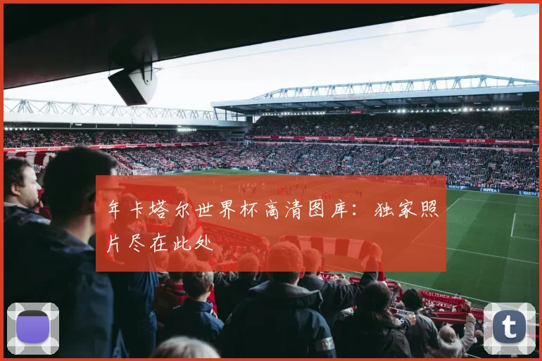 年卡塔尔世界杯高清图库：独家照片尽在此处