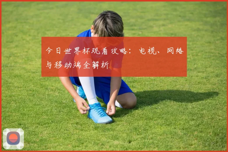 今日世界杯观看攻略:电视、网络与移动端全解析