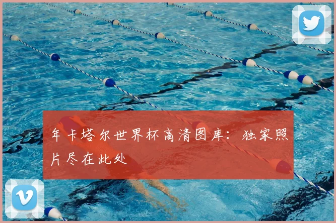 年卡塔尔世界杯高清图库：独家照片尽在此处