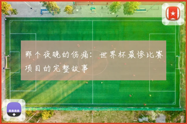 那个夜晚的伤痛：世界杯最惨比赛项目的完整故事