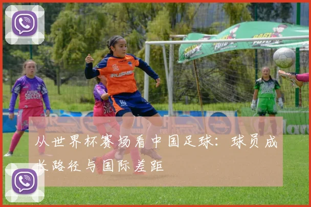 从世界杯赛场看中国足球：球员成长路径与国际差距