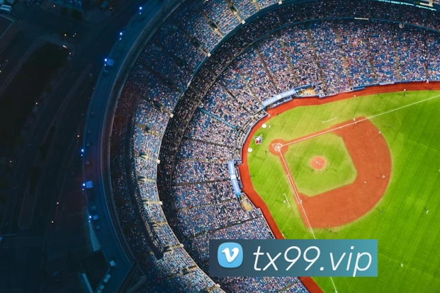 App Interface Preview